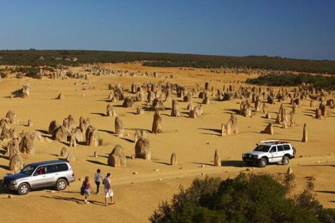 1-Day Pinnacles And Yanchep Tour From Perth Including Fish And Chips Lunch - Accommodation Daintree 0