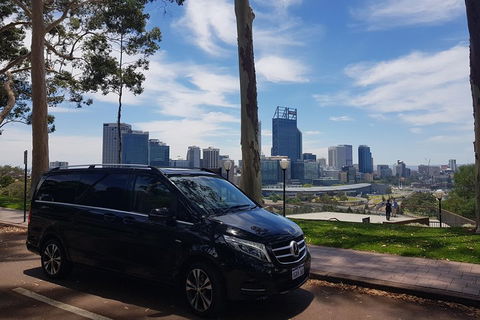 1-Day Pinnacles And Yanchep Tour From Perth Including Fish And Chips Lunch - Accommodation Daintree 1
