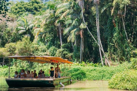 Tropical Fruit World Farm Full Tour - Accommodation Daintree 0