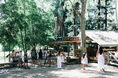 Tropical Fruit World Farm Full Tour - Accommodation Daintree 3