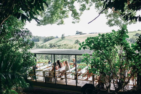 Tropical Fruit World Farm Full Tour - Accommodation Daintree 4