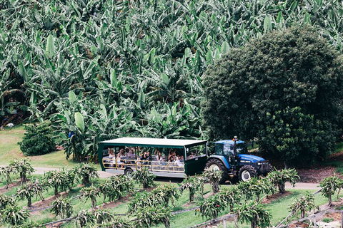 Tropical Fruit World Farm Full Tour - Accommodation Daintree 5