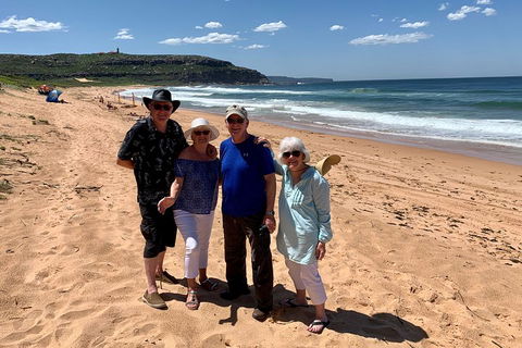 Shore Excursion: Sydney's Northern Beaches & Ku-ring-gai National Park Bus Tour - Accommodation Daintree 3