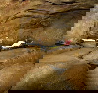 2-Day Wave Rock York Wildflowers  Aboriginal Experience - Accommodation Daintree