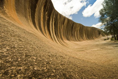 Wave Rock, York, Wildflowers, And Aboriginal Cultural Day Tour From Perth - Accommodation Daintree 0