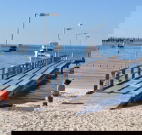 Monkey Mia Dolphins  Shark Bay Air Tour From Perth - Accommodation Daintree