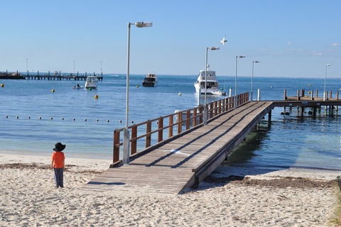 Monkey Mia Dolphins & Shark Bay Air Tour From Perth - Accommodation Daintree 0