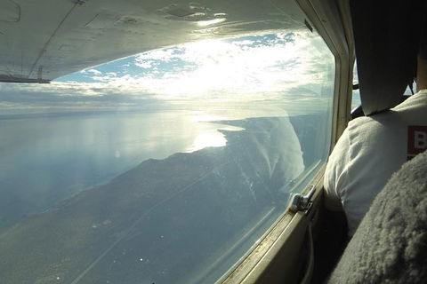 Monkey Mia Dolphins & Shark Bay Air Tour From Perth - Accommodation Daintree 1