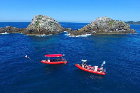 3-Hour Byron Bay Certified Scuba Diving Tour - Accommodation Daintree 0