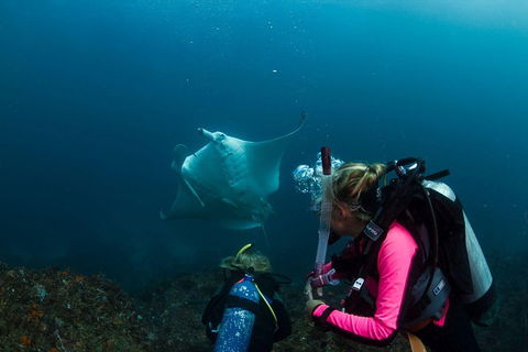 3-Hour Byron Bay Certified Scuba Diving Tour - Accommodation Daintree 2