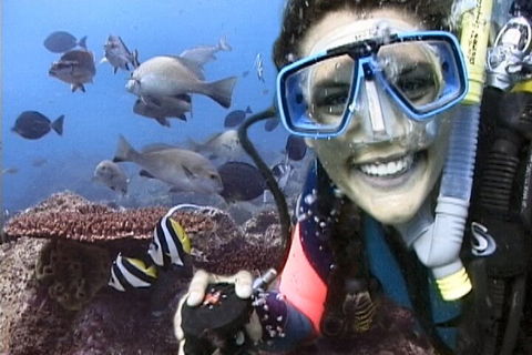 3-Hour Byron Bay Certified Scuba Diving Tour - Accommodation Daintree 5