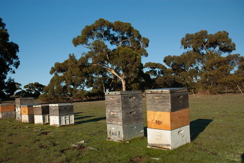 Fine Flavours - Full Day Kangaroo Island Food & Wine Tour - Accommodation Daintree 1
