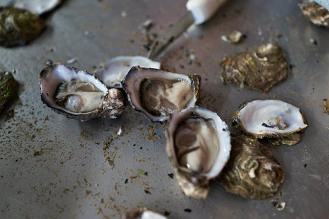Fine Flavours - Full Day Kangaroo Island Food & Wine Tour - Accommodation Daintree 2