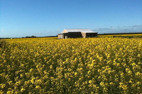 Fine Flavours - Full Day Kangaroo Island Food & Wine Tour - Accommodation Daintree 3