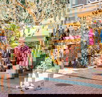 Full Day Sunshine Coast Hinterland Luxury Small Group Tour from Brisbane