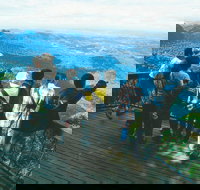 Springbrook National Park  Gold Coast Full Day Luxury Tour from Brisbane