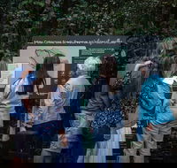 Sunshine Coast Hinterland and Noosa Day Trip from Brisbane Including Eumundi Markets and Ginger Factory