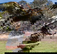 One Day Kangaroo Island Sip  See tour with return ferry transfers from Adelaide - Accommodation Daintree