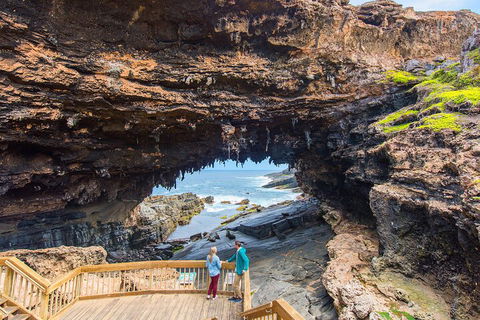 Full-Day Kangaroo Island Experience Departing From Kangaroo Island - Accommodation Daintree 3