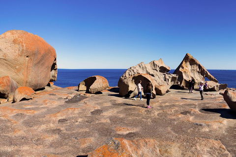 Full-Day Kangaroo Island Experience Departing From Kangaroo Island - Accommodation Daintree 4