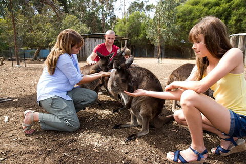 Full-Day Kangaroo Island Experience Departing From Kangaroo Island - Accommodation Daintree 5