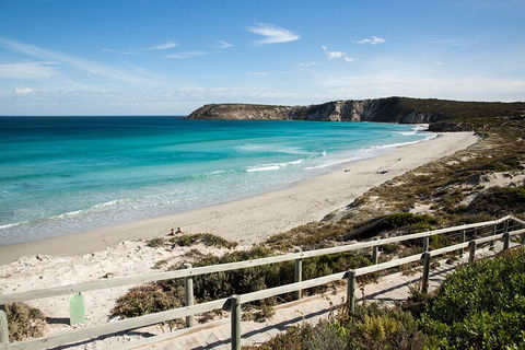 Full Day Kangaroo Island Sip And See Tour Departing From Kangaroo Island - Accommodation Daintree 5
