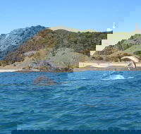 Kayaking with Dolphins in Byron Bay Guided Tour - Accommodation Daintree