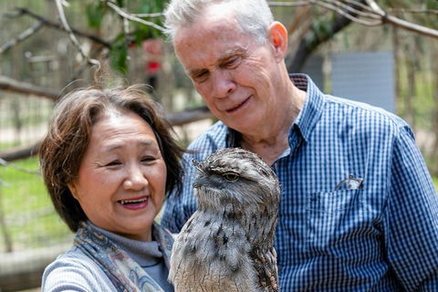 Moonlit Sanctuary Wildlife Conservation Park Daytime General Entry Ticket - Accommodation Daintree 3