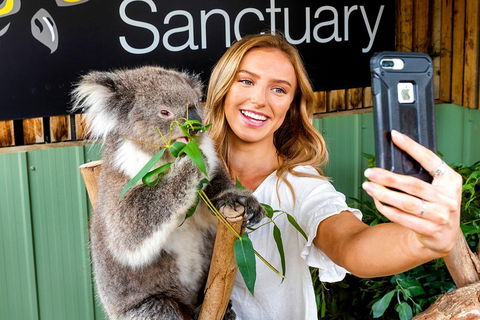 Moonlit Sanctuary Wildlife Conservation Park Daytime General Entry Ticket - Accommodation Daintree 4