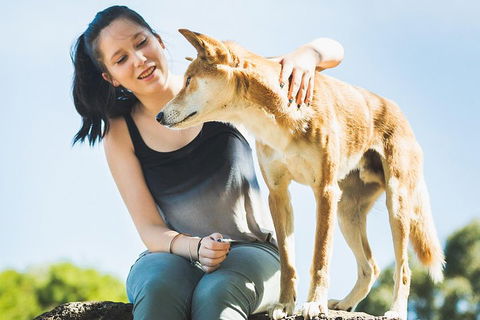 Moonlit Sanctuary Wildlife Conservation Park Daytime General Entry Ticket - Accommodation Daintree 5