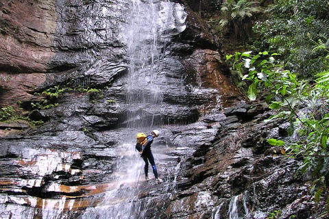 Full-Day Canyoning Experience At Stunning Empress Canyon - Accommodation Daintree 0