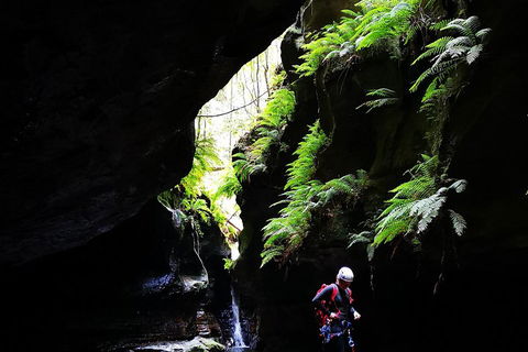 Full-Day Canyoning Experience At Stunning Empress Canyon - Accommodation Daintree 2