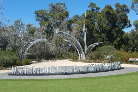Very Best Of Perth Tour - Wildlife Park & City Highlights Tour - Accommodation Daintree 0