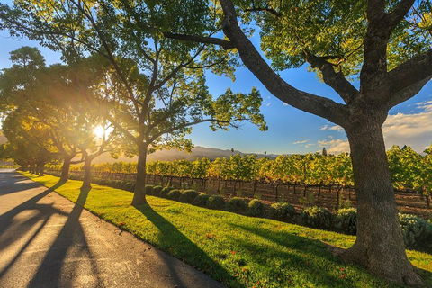 Very Best Of Perth Tour - Wildlife Park & City Highlights Tour - Accommodation Daintree 2