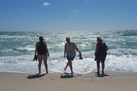 Very Best Of Perth Tour - Wildlife Park & City Highlights Tour - Accommodation Daintree 5