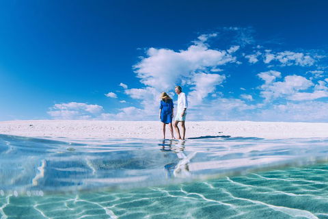 4-Day Coastal Loop Via Monkey Mia Wild Dolphins Kalbarri Pinnacles Perth Return - Accommodation Daintree 0