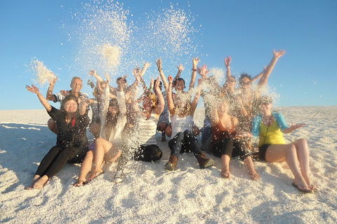 4-Day Coastal Loop Via Monkey Mia Wild Dolphins Kalbarri Pinnacles Perth Return - Accommodation Daintree 1