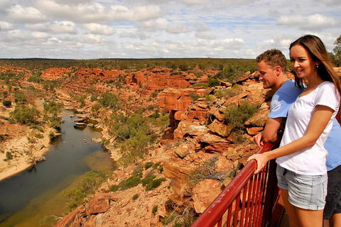 4-Day Coastal Loop Via Monkey Mia Wild Dolphins Kalbarri Pinnacles Perth Return - Accommodation Daintree 3