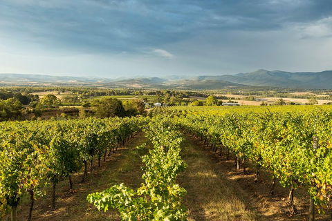 Yarra Valley Local Produce And Wine Tasting Tour - Accommodation Daintree 3