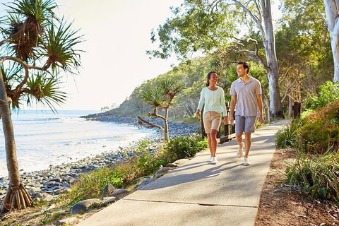 Sunshine Coast Private Scenic Guided Tour Inc. 2-Course Gourmet Lunch - Accommodation Daintree 3