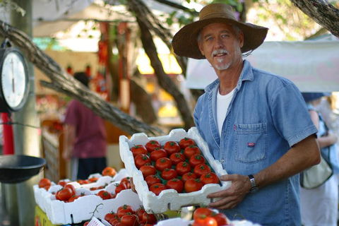 Sunshine Coast Eumundi Markets Return Minibus Transfer - Accommodation Daintree 5