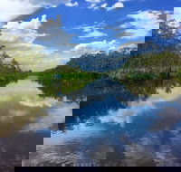 Noosa Everglades Serenity Cruise  Highlights Tour Inc. Lunch  Cruise - Accommodation Daintree