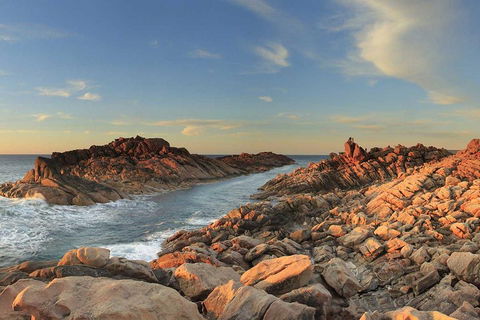 Margaret River Private Tour - Accommodation Daintree 1