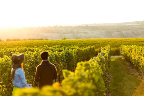Margaret River Private Tour - Accommodation Daintree 2