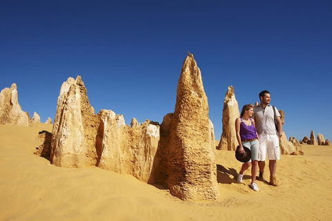 Pinnacles Day Trip From Perth Including Yanchep National Park - Accommodation Daintree 0