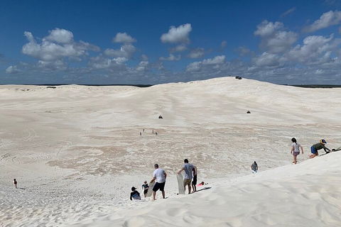 Pinnacles Day Trip From Perth Including Yanchep National Park - Accommodation Daintree 2