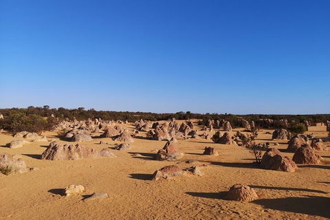 Pinnacles Day Trip From Perth Including Yanchep National Park - Accommodation Daintree 3