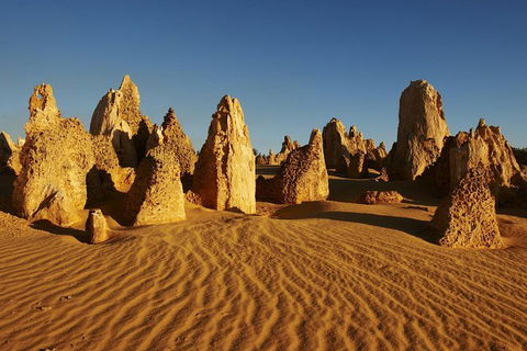 Pinnacles Day Trip From Perth Including Yanchep National Park - Accommodation Daintree 5