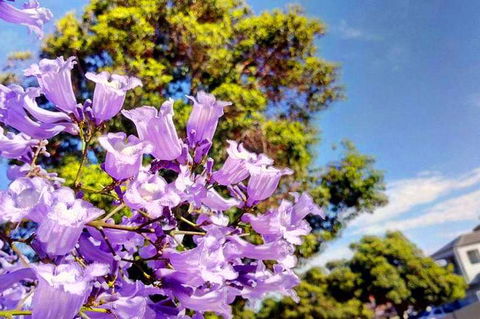 Big Perth (Private) Day Tour - Accommodation Daintree 3
