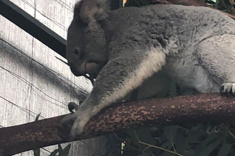 Perth Hills - Wildlife, Art & Gastronomy - Accommodation Daintree 3